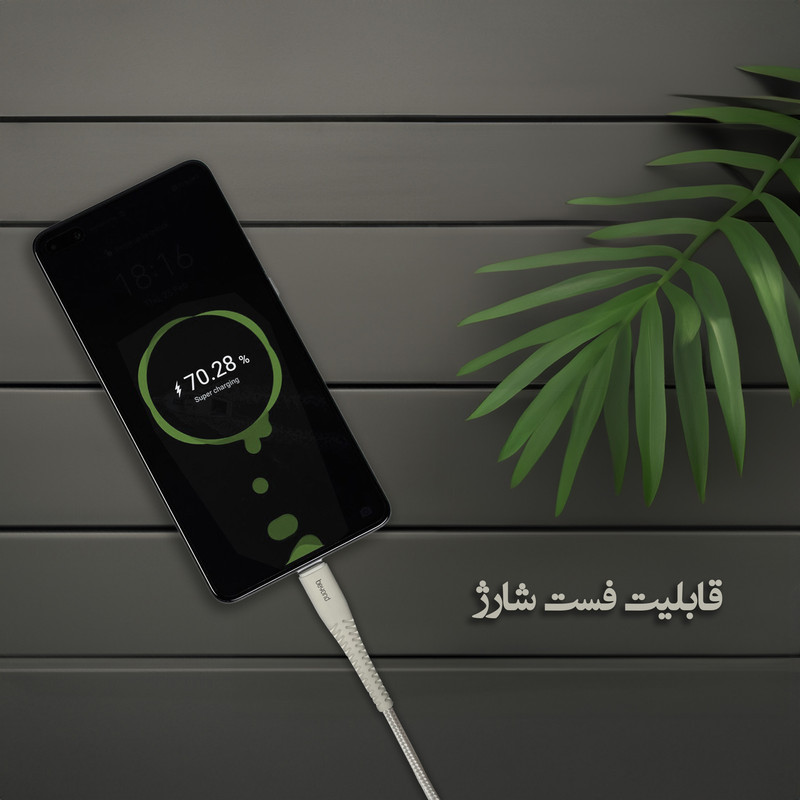 خرید کابل تبدیل USB به USB-C بیاند مدل BUC-302 FAST CHARGE طول 2 متر با کیفیت عالی از EYEWISH